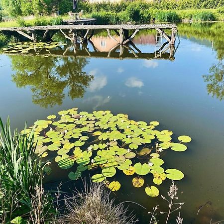 Agroturystyka Leszczynowy Dworek Ponikwa  Buitenkant foto